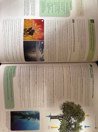 Biologia i geologia, 1 Batxillerat