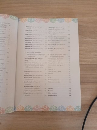 Mudras Para La Vida Moderna