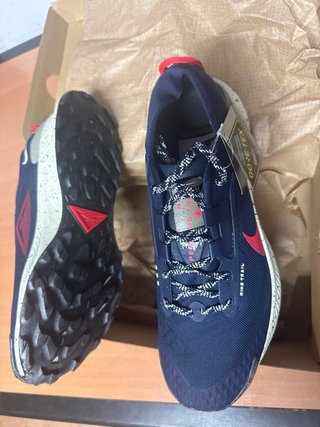 Nike Pegasus Trail GORE-TEX Zapatillas