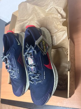 Nike Pegasus Trail GORE-TEX Zapatillas