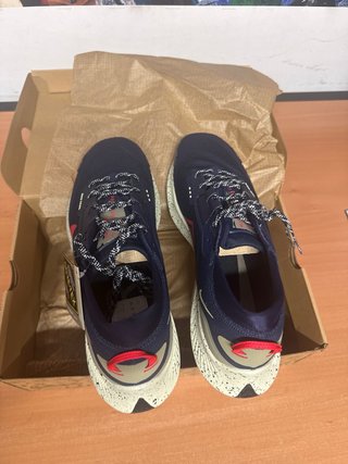 Nike Pegasus Trail GORE-TEX Zapatillas