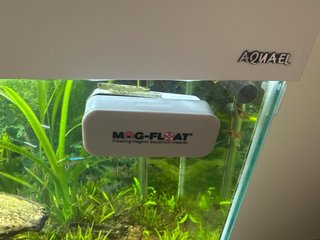 Acuario Optiwhite 240L + Eheim profesional 4