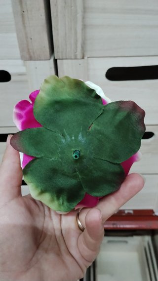 Lote Peonía Fucsia 10cm