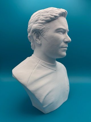 Busto Star Trek Kirk 3D Plastica 18cm