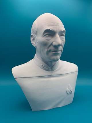 Busto Star Trek Picard 3D Plastica 18cm
