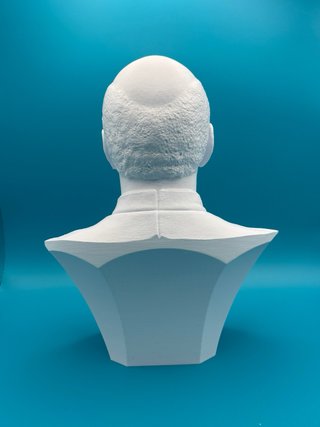 Busto Star Trek Picard 3D Plastica 18cm