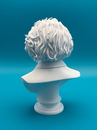 Busto Albert Einstein 3D - 18cm