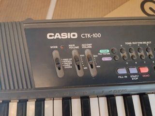 Teclado Casio CTK-100