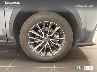 Lexus NX350H EXECUTIVE+ 4WD 2025 REF 3909