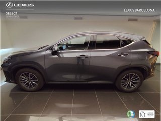 Lexus NX350H EXECUTIVE+ 4WD 2025 REF 3909