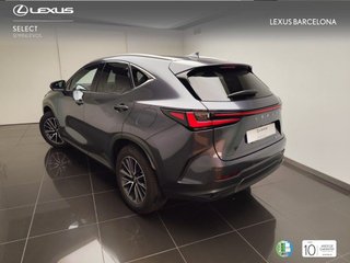 Lexus NX350H EXECUTIVE+ 4WD 2025 REF 3909