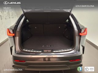 Lexus NX350H EXECUTIVE+ 4WD 2025 REF 3909