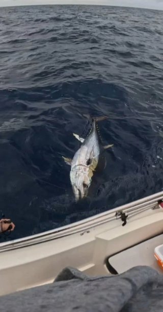 Clase de pesca, Fishing lessons.