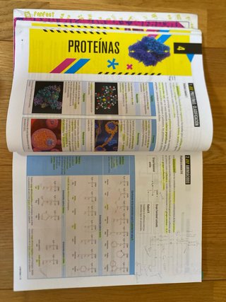 Proyecto: FanFest - Biología 2 Bachillerato