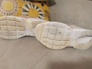 Zapatillas Nike Alpina Running Mujer