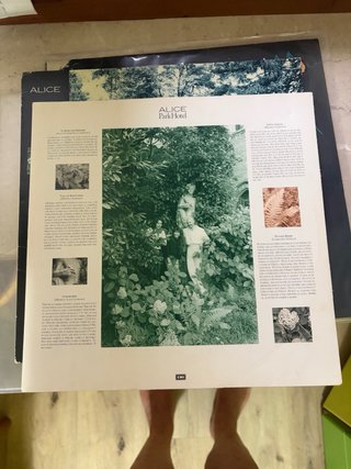 LP Alice Park Hotel 1986