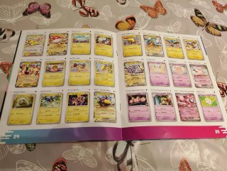 Set carte Pokemon + catalogo