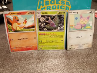 Set carte Pokemon + catalogo