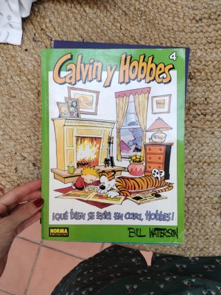 Lote Calvin y Hobbes.