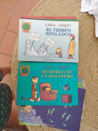 Lote Calvin y Hobbes.