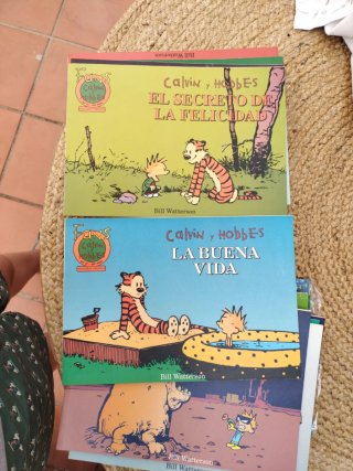 Lote Calvin y Hobbes.