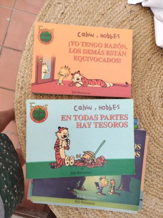 Lote Calvin y Hobbes.