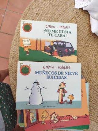 Lote Calvin y Hobbes.