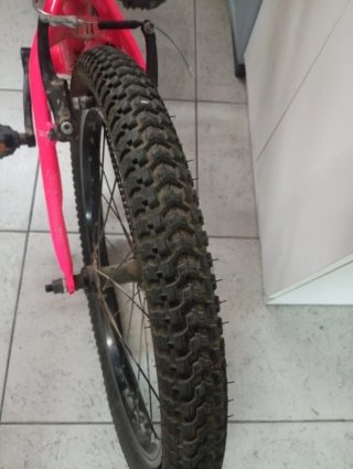 Bicicleta Monty Rosa Infantil, llanta 20"