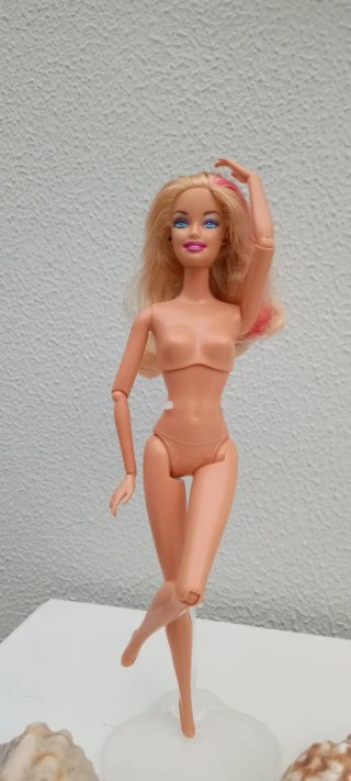 Barbie Fashionista