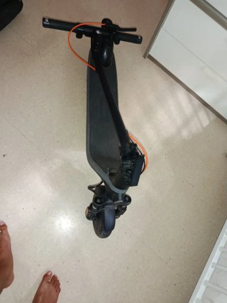 Patinete Eléctrico Segway Ninebot E2 Plus II