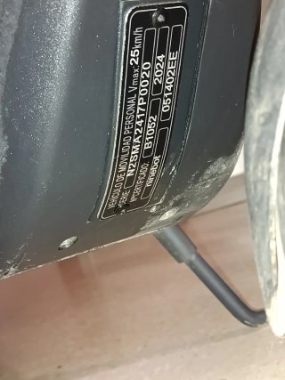 Patinete Eléctrico Segway Ninebot E2 Plus II