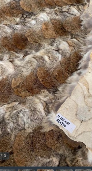 Wow! Tappeto/coperta  in vero coyote naturale