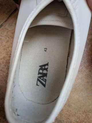 Lote de Zapatillas Deportivas y Casual