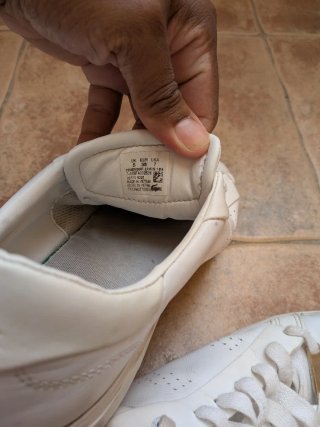 Lote de Zapatillas Deportivas y Casual