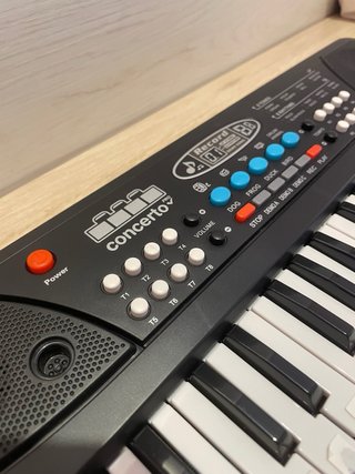 Órgano Electrónico