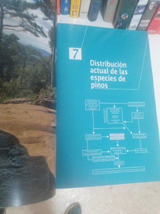 Biomasa forestal en Andalucía - Modelo de exist...
