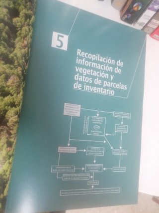 Biomasa forestal en Andalucía - Modelo de exist...