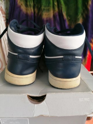 Nike Air Jordan Azul y Blanco