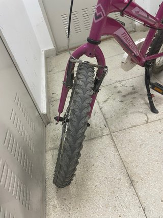 Bicicleta Infantil Megamo 18 Rosa