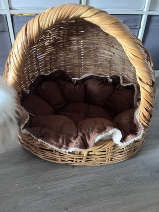 Cama para perro tipo cesta