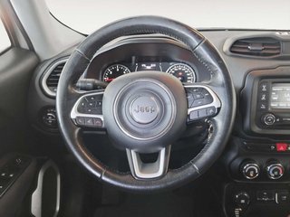 Jeep Renegade 2.0 MultiJet Night Eagle 4x4 Active Drive 88 kW (120 CV)