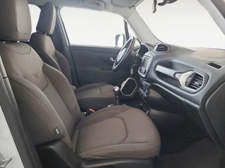 Jeep Renegade 2.0 MultiJet Night Eagle 4x4 Active Drive 88 kW (120 CV)