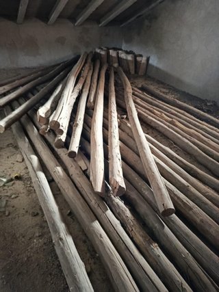 Lote 30 rollizos madera antiguos