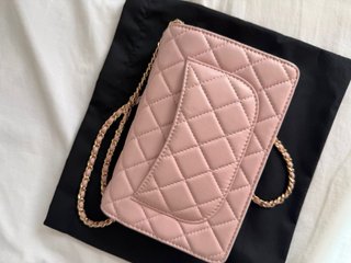 Bolso rosa y dorado