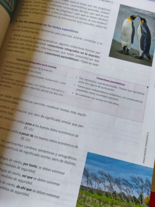 Lengua castellana y literatura 1 Bachillerato :...