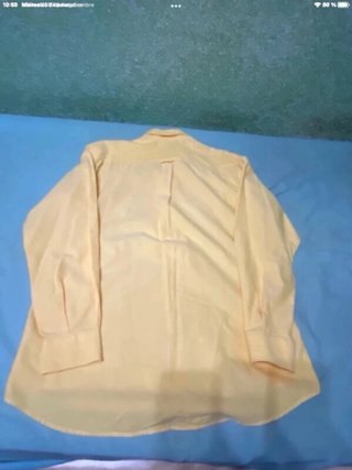 Camisa Lacoste Oxford Amarilla