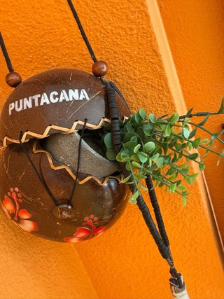 Recuerdo de Punta Cana - Maceta Coco