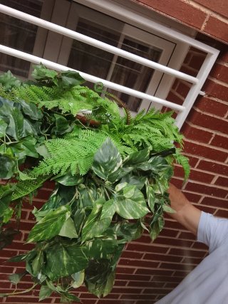 Conjunto Plantas Artificiales Colgantes y de suelo