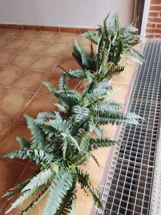 Conjunto Plantas Artificiales Colgantes y de suelo