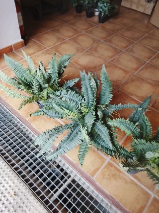 Conjunto Plantas Artificiales Colgantes y de suelo